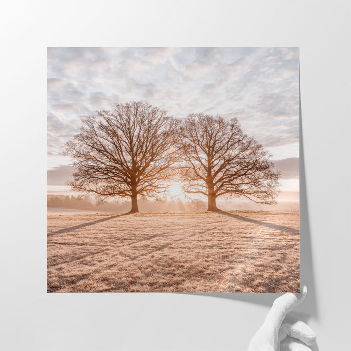 Trees in Meadow - Canvas Print Wall Art