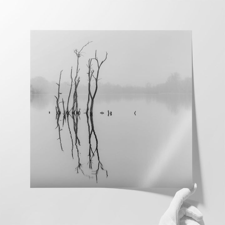 Twigs in Lake - Canvas Print Wall Art