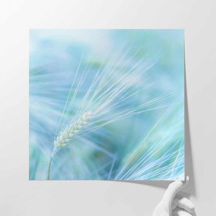 Wheat Farm - Canvas Print Wall Art