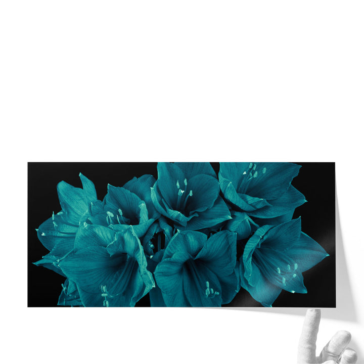 Amaryllis Flower 3 - Canvas Print Wall Art