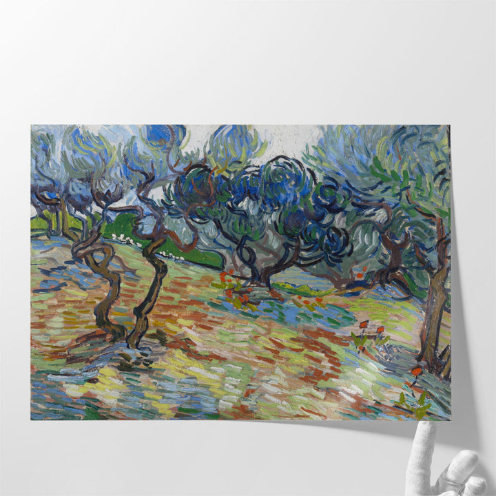 Olive Trees Bright Blue Sky, 1889 - Canvas Print Wall Art