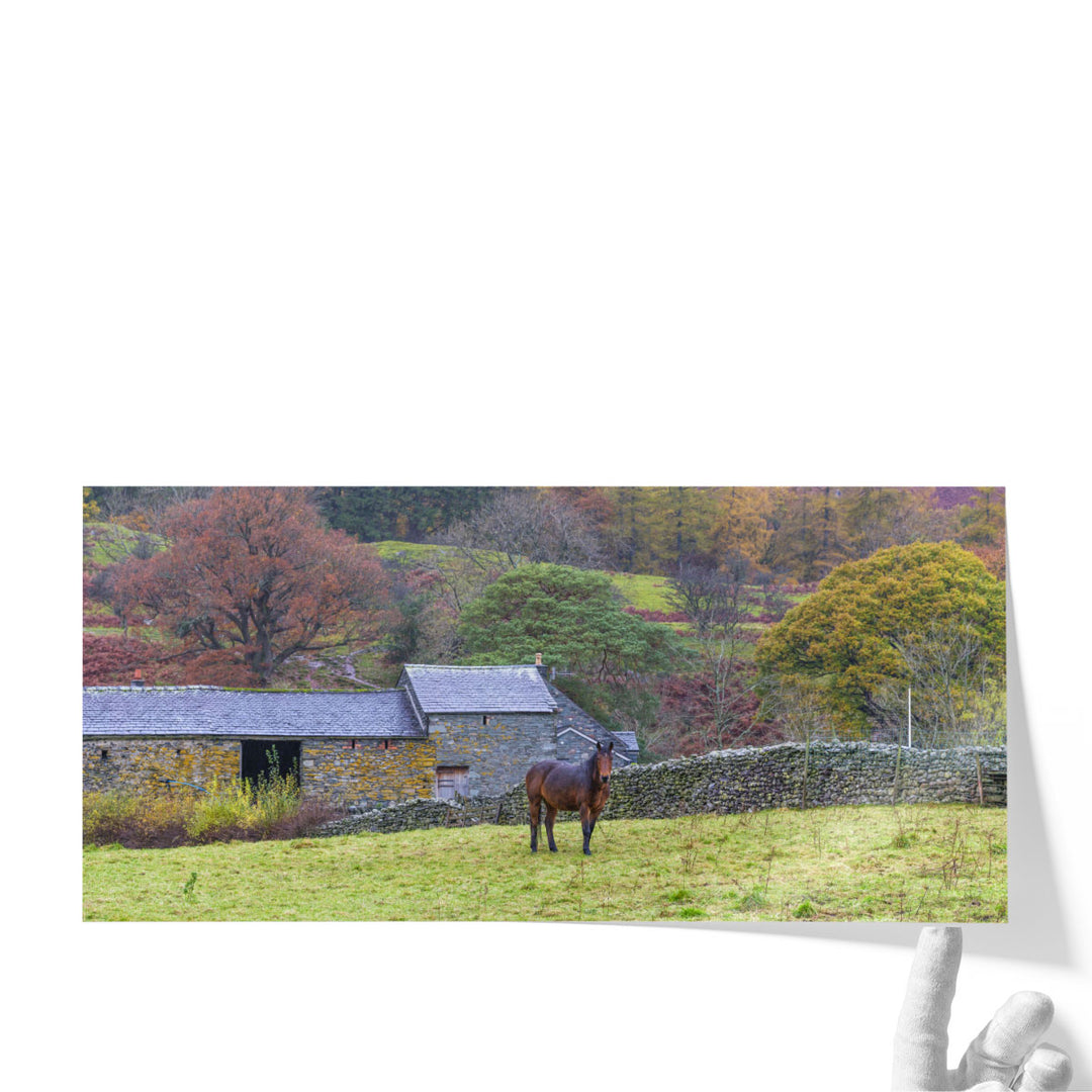 Horse in a Field - Canvas Print Wall Art