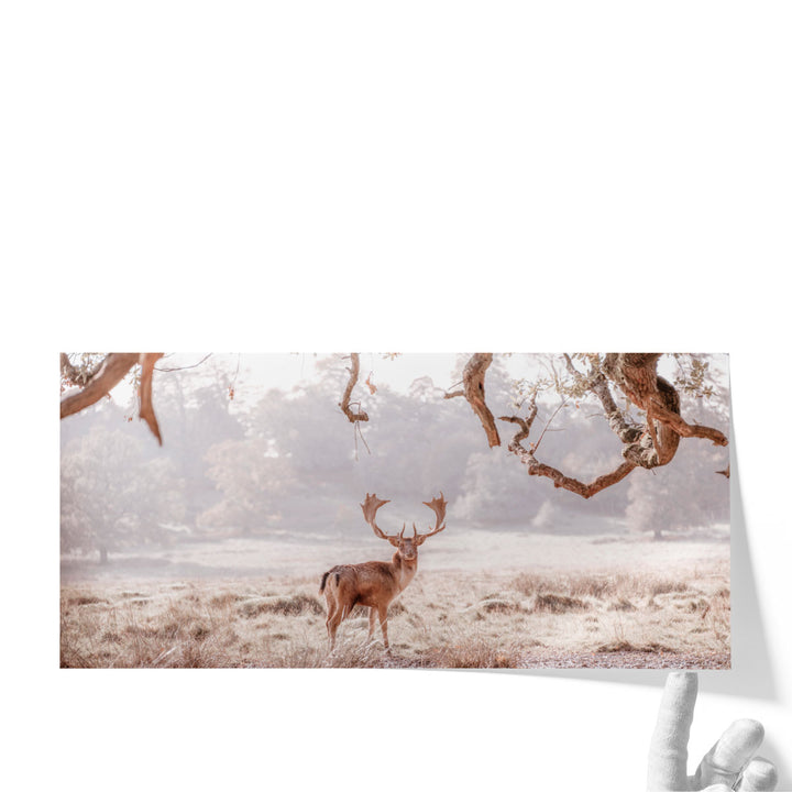 Stag in a Field - Canvas Print Wall Art