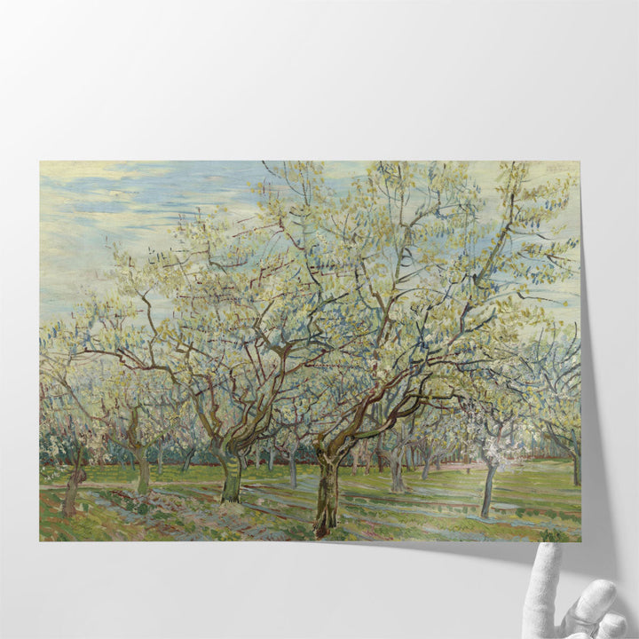 The White Orchard, 1888 - Canvas Print Wall Art