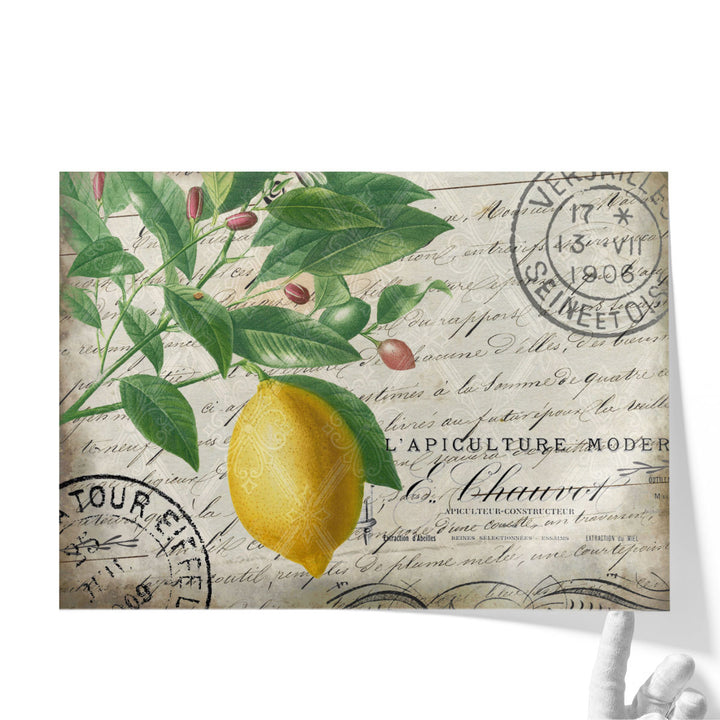 Vintage Lemon- Canvas Print Wall Art
