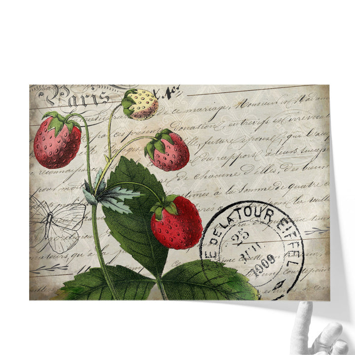 Vintage Strawberry - Canvas Print Wall Art