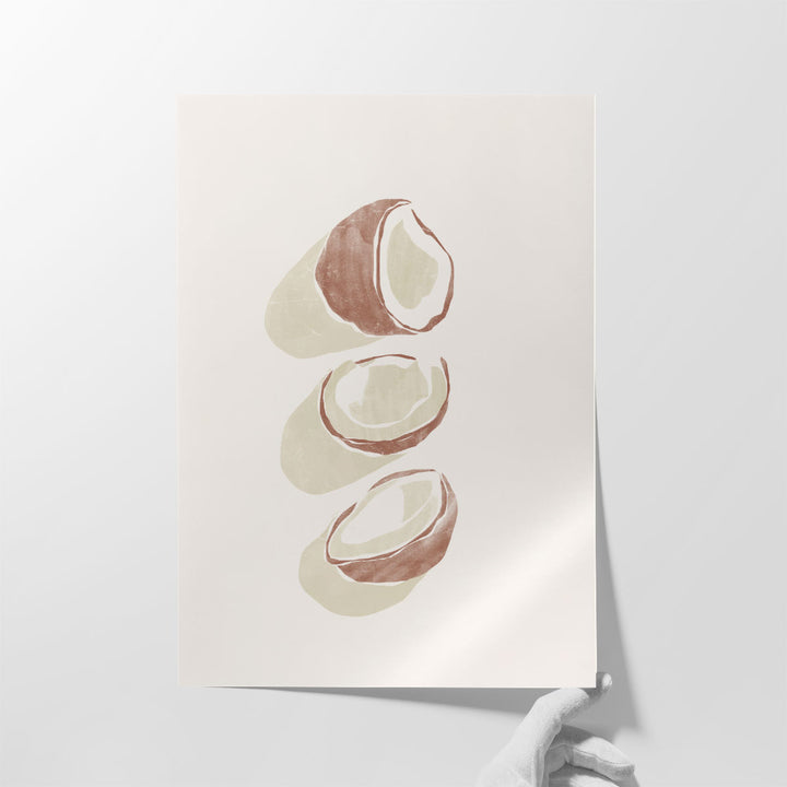 Tropical Coconuts - Canvas Print Wall Art