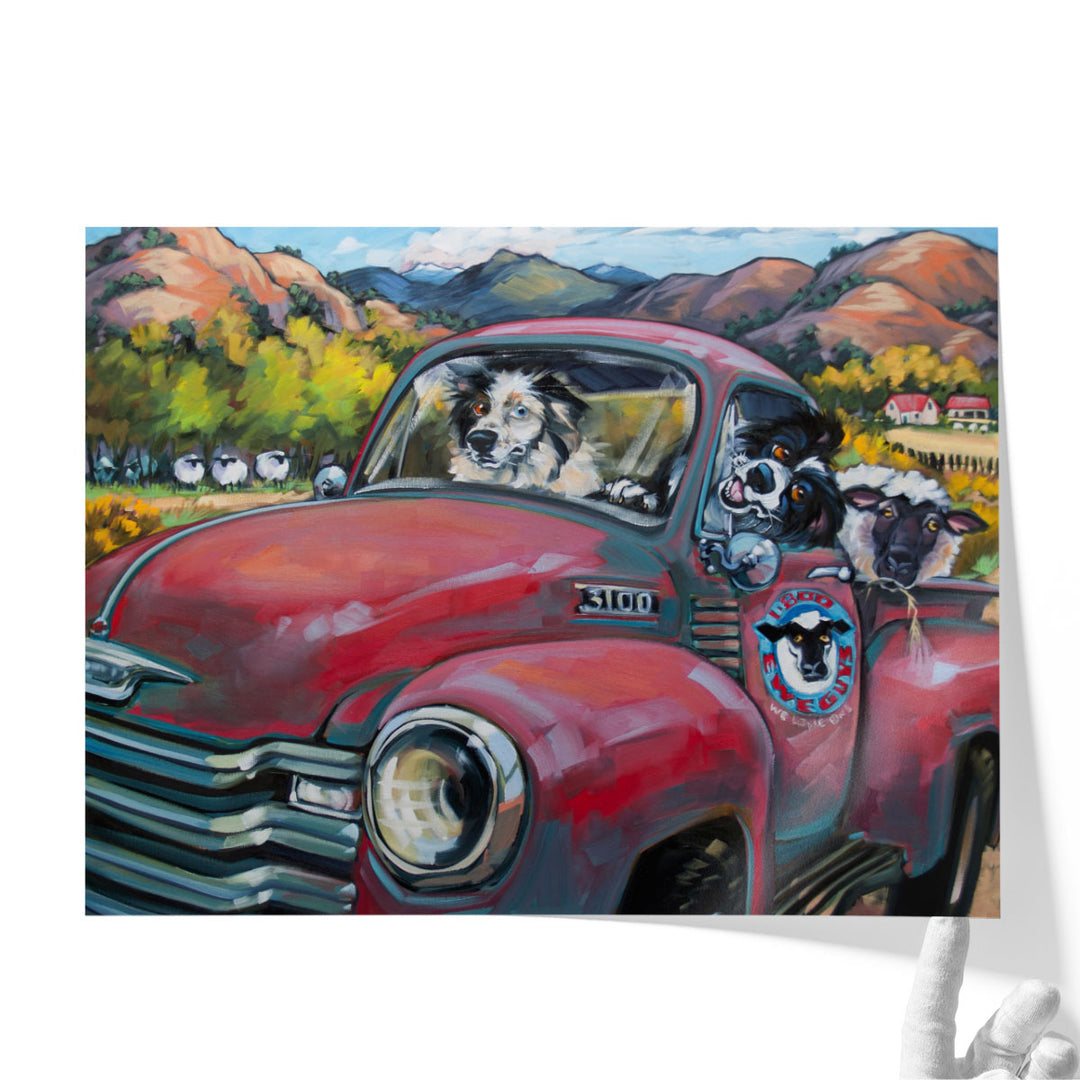 1-800 Ewe Guys - Canvas Print Wall Art