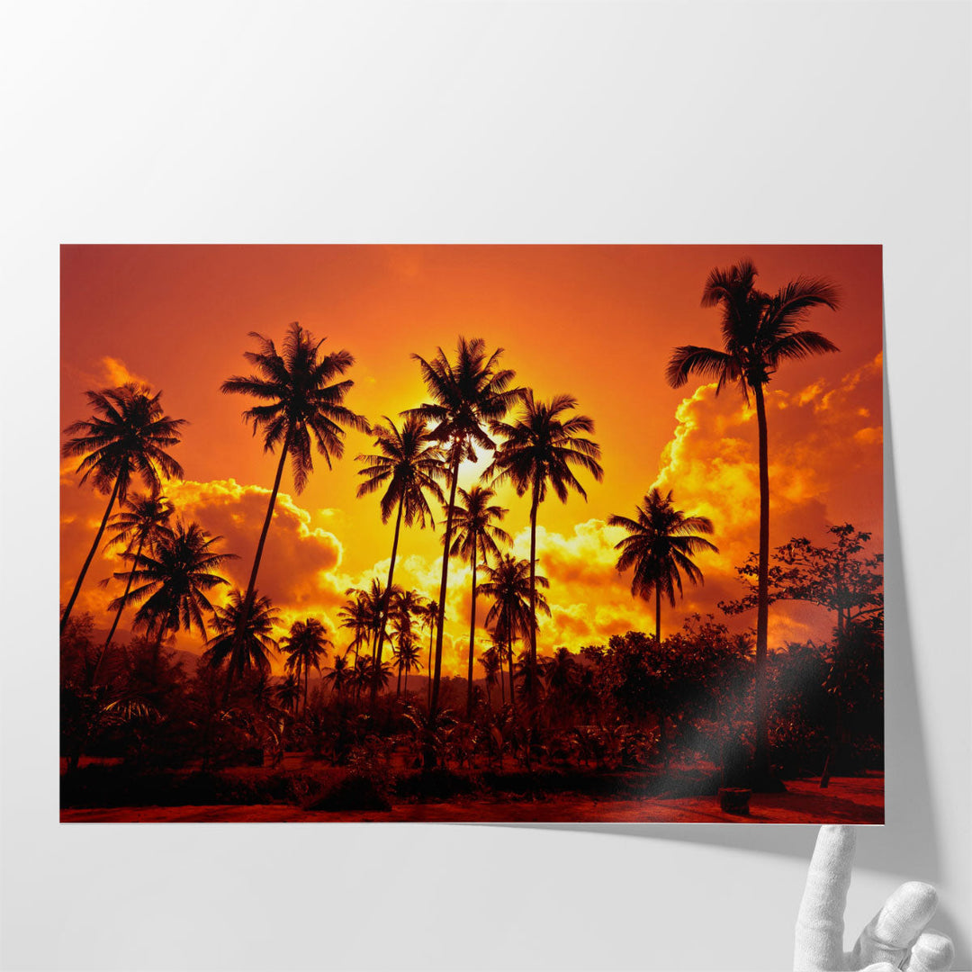 Palm Trees and Sunset - Canvas Print Wall Art