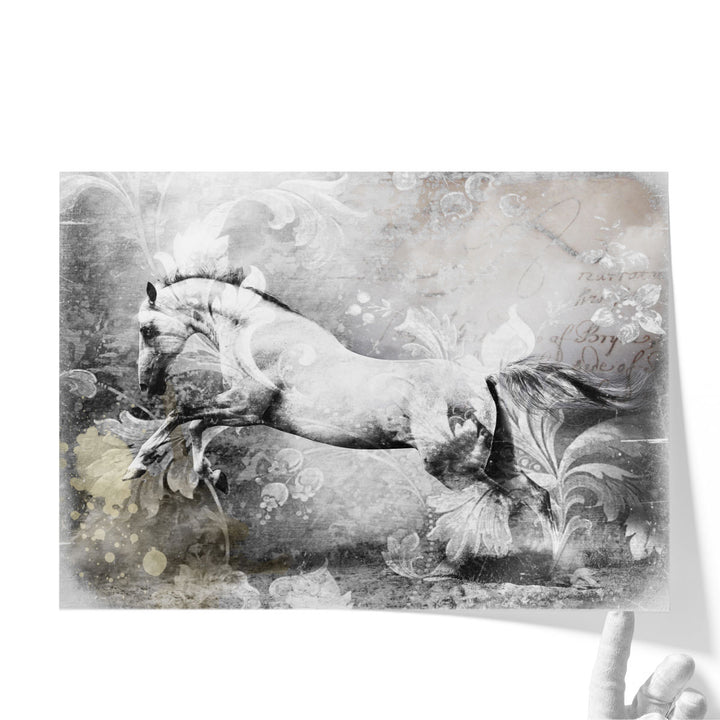 White Horse - Canvas Print Wall Art
