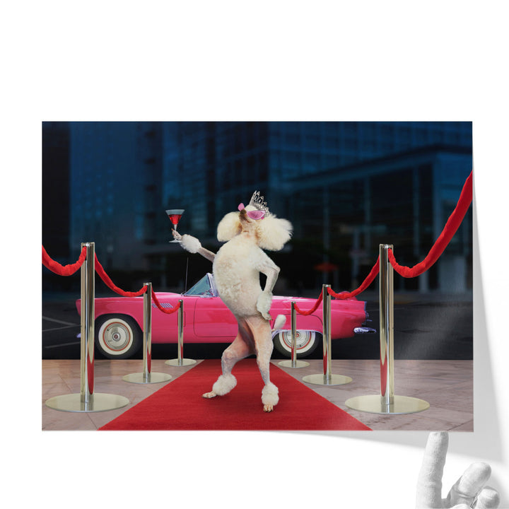 Poodle Premier - Canvas Print Wall Art