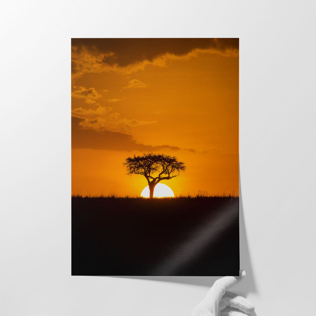 African Sunset With a Tree, Maasai Mara Kenya - Canvas Print Wall Art