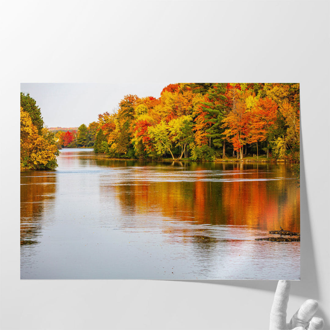 Colorful Autumn Trees Reflecting off of the Wisconsin River in Merrill - Canvas Print Wall Art