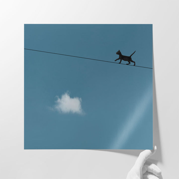 Walk The Line - Canvas Print Wall Art
