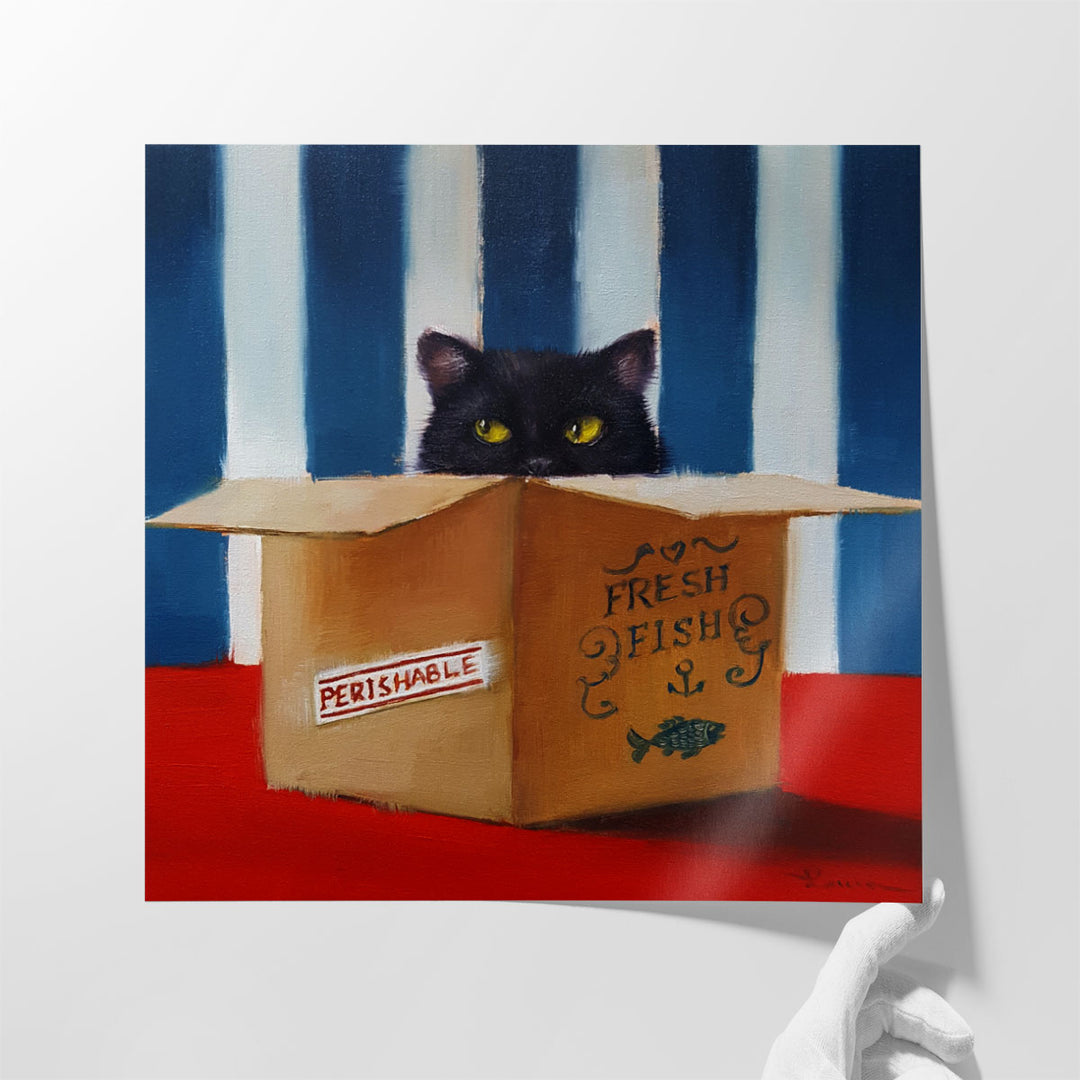 Cat Burglar - Canvas Print Wall Art