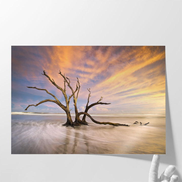 Folly Beach, Dead Tree Driftwood Ocean Sunset Landscape - Canvas Print Wall Art