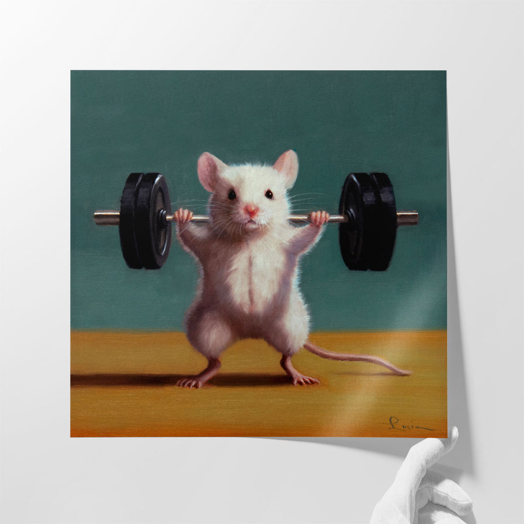 Gym Rat Back Squat - Canvas Print Wall Art
