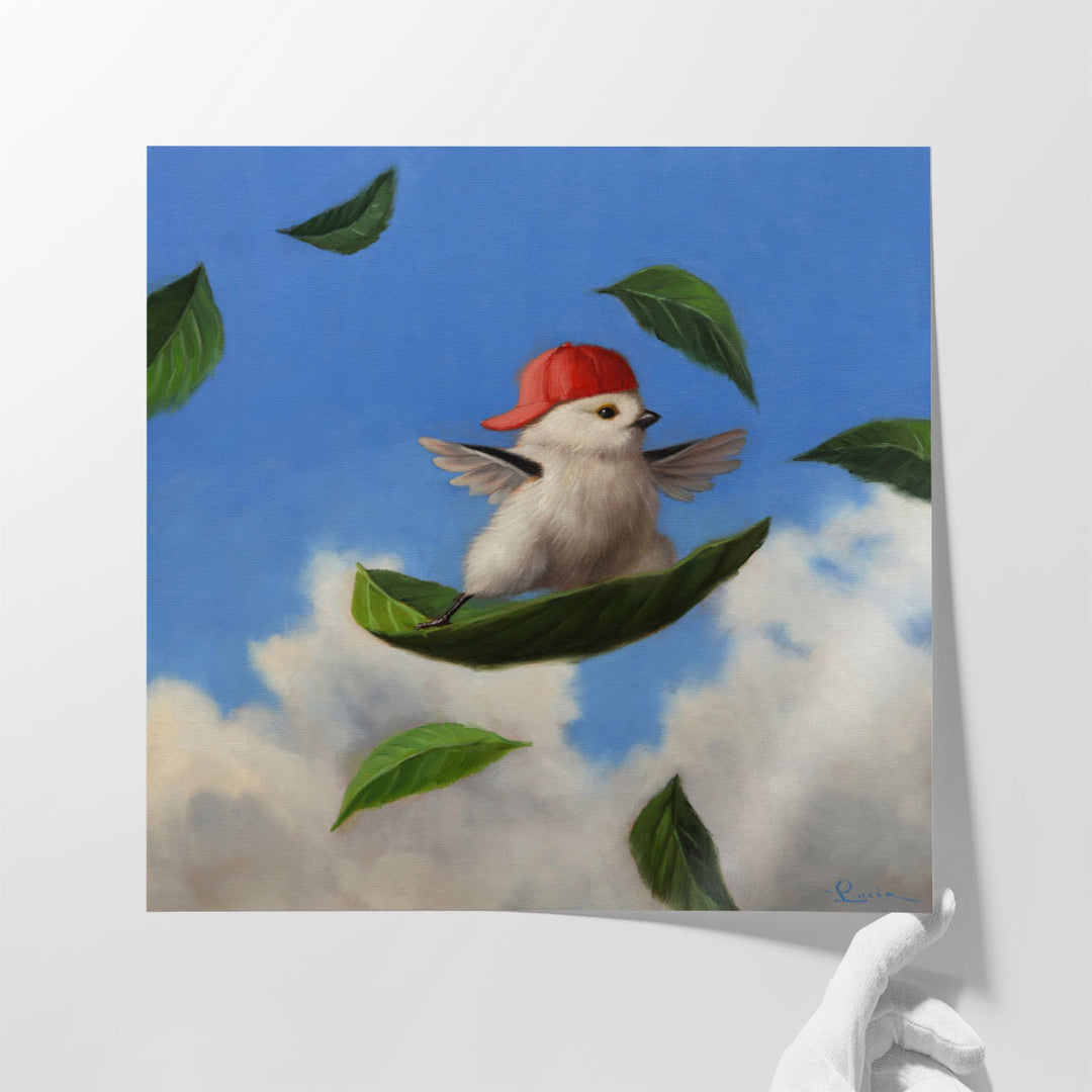 Wind Surfer - Canvas Print Wall Art