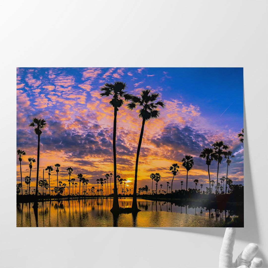 Sugar Palm Trees on The Paddy Field in Sunrise, Thani, Thailand - Canvas Print Wall Art