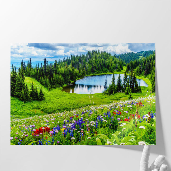 Tod Lake Through The Alpine Meadows, British Columbia - Canvas Print Wall Art