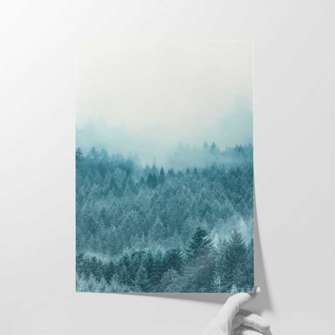 Foggy Forest - Canvas Print Wall Art