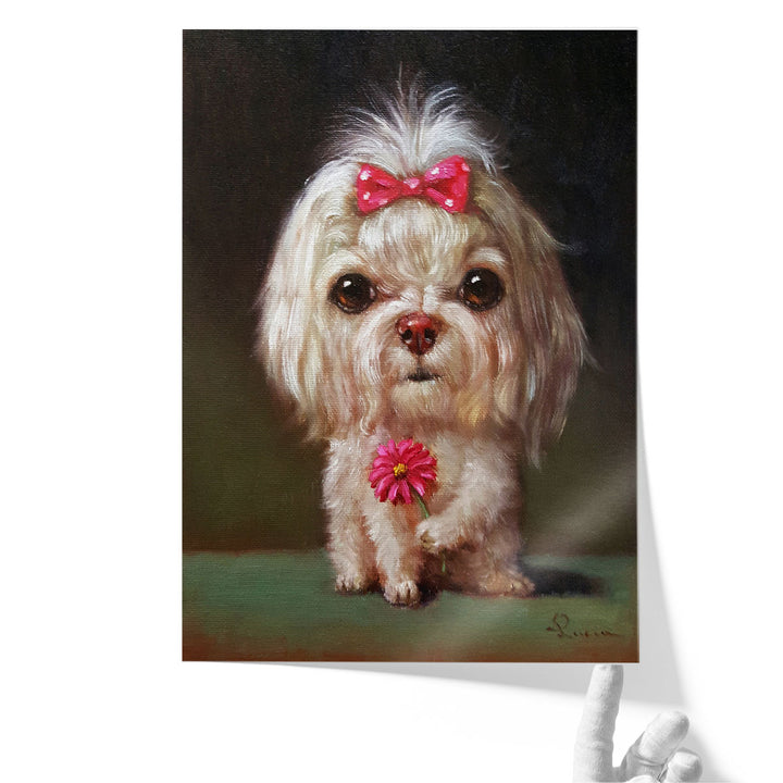 Sophie - Canvas Print Wall Art