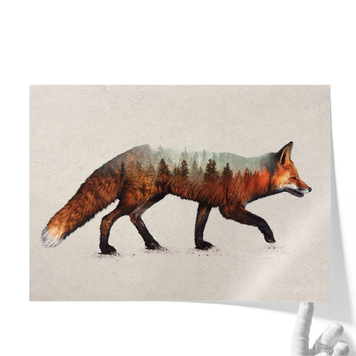 The Red Fox - Canvas Print Wall Art