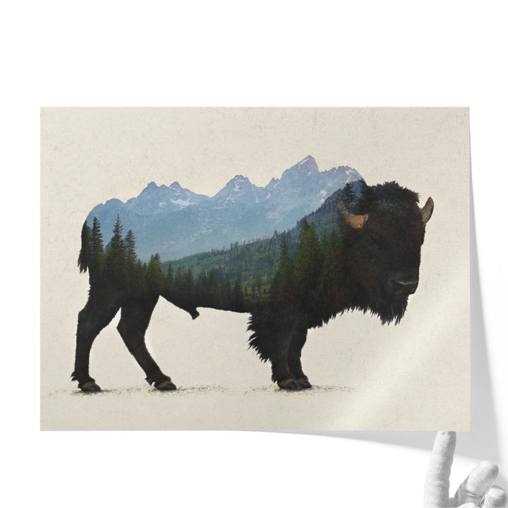 Grand Teton Bison - Canvas Print Wall Art