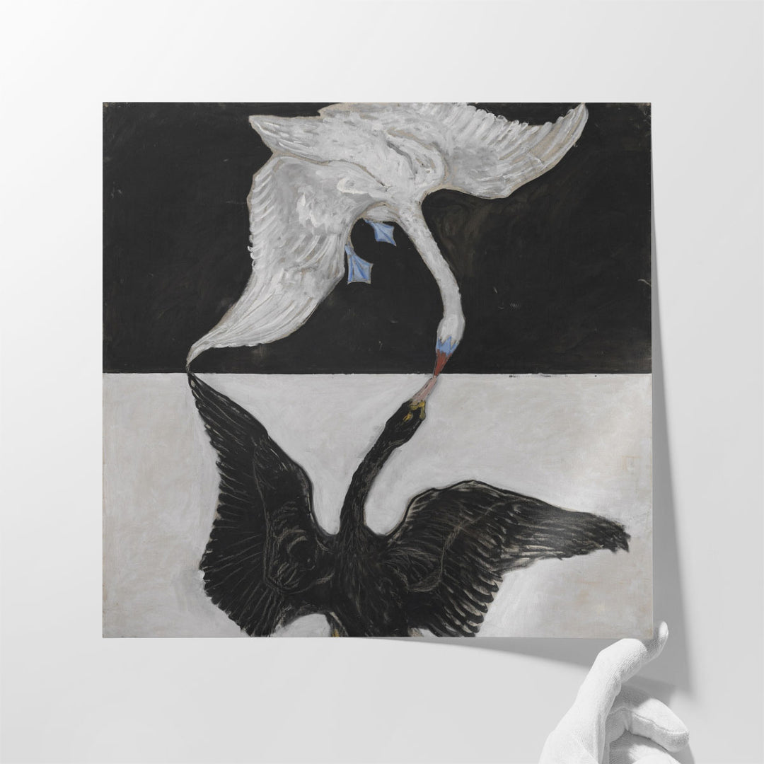 black and white wall art – elegant swan motif
