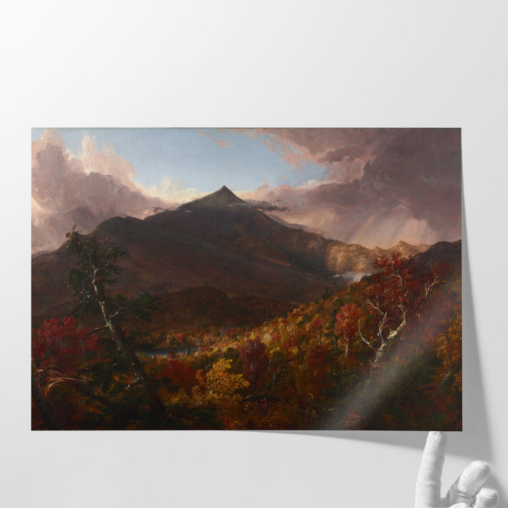 30x20 canvas print textured forest art