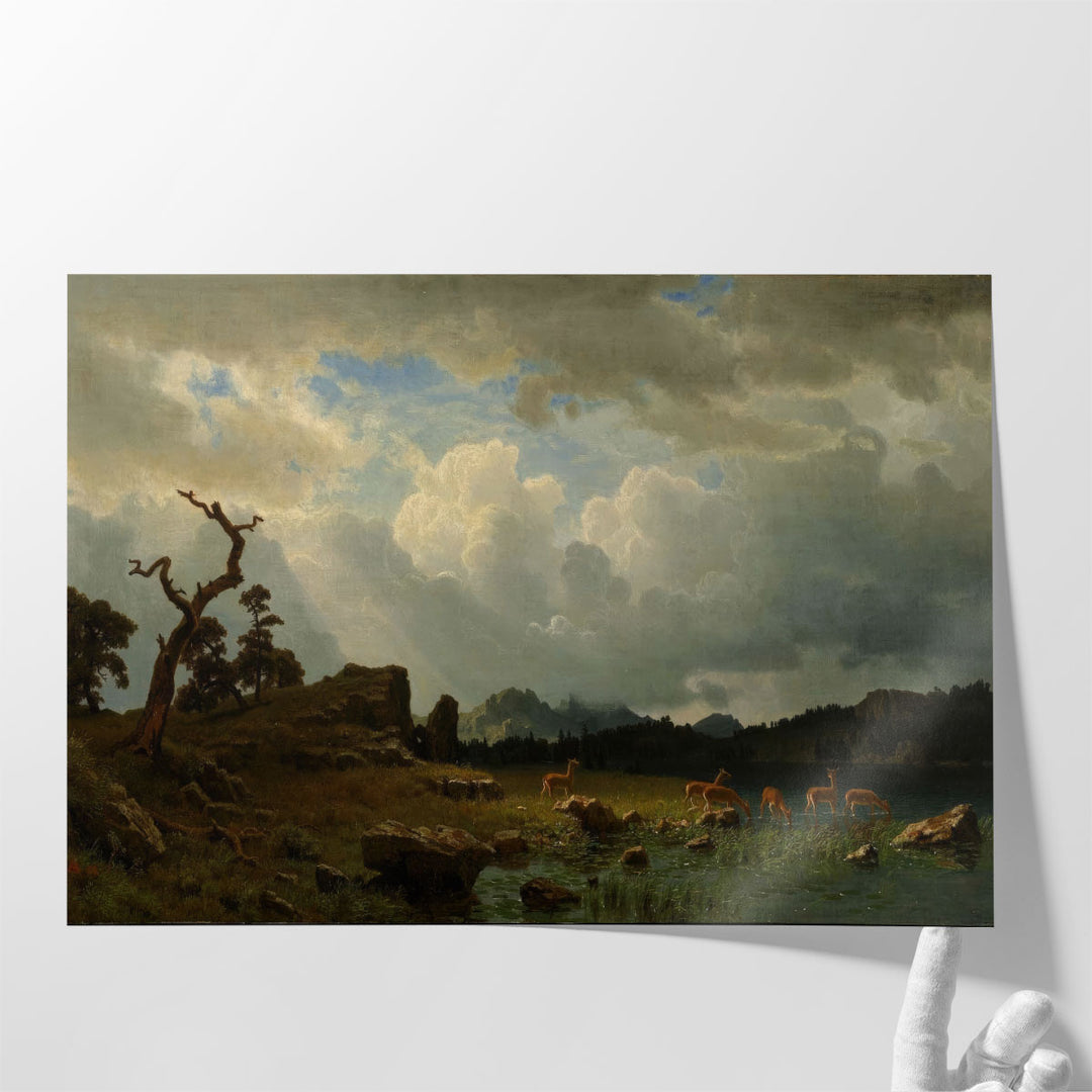 Very Large Cloud Wall Decor for Hallway focal