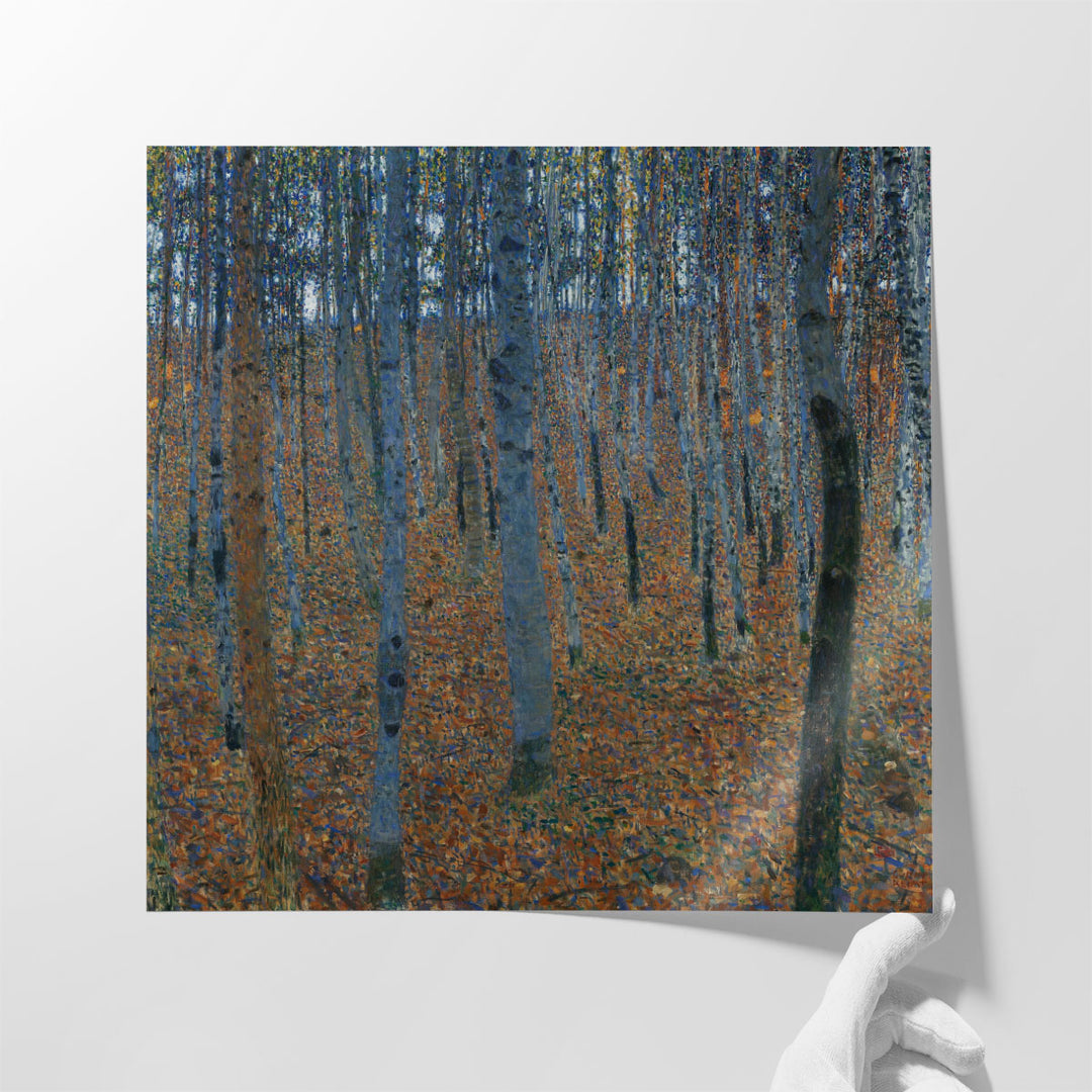 Beech Grove I - Canvas Print Wall Art