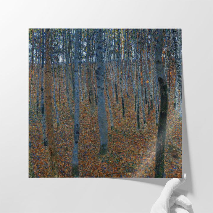 Beech Grove I - Canvas Print Wall Art