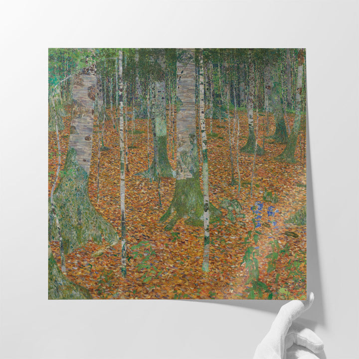 Birch Forest, 1903 - Canvas Print Wall Art