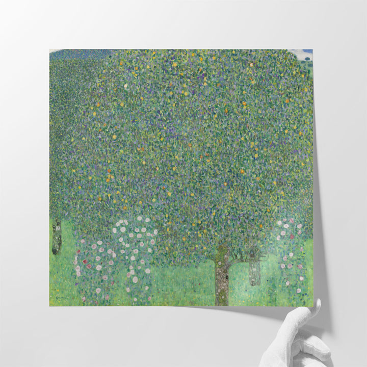 Rosebushes under the Trees, 1905 - Canvas Print Wall Art