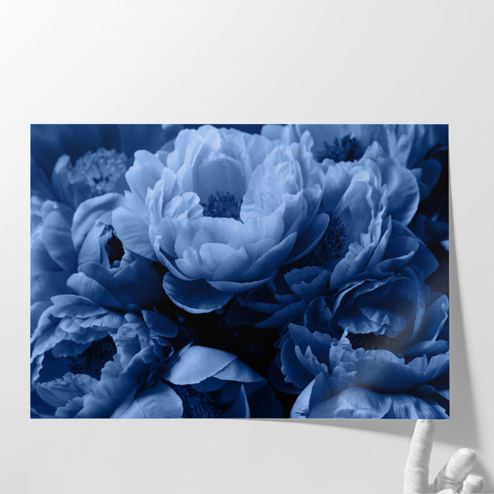 Blue Peony Rose Flowers - Canvas Print Wall Art