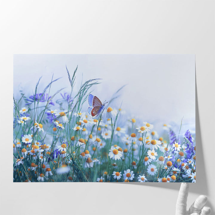 Chamomile, Purple Wild Peas, Butterfly in Morning Haze - Canvas Print Wall Art