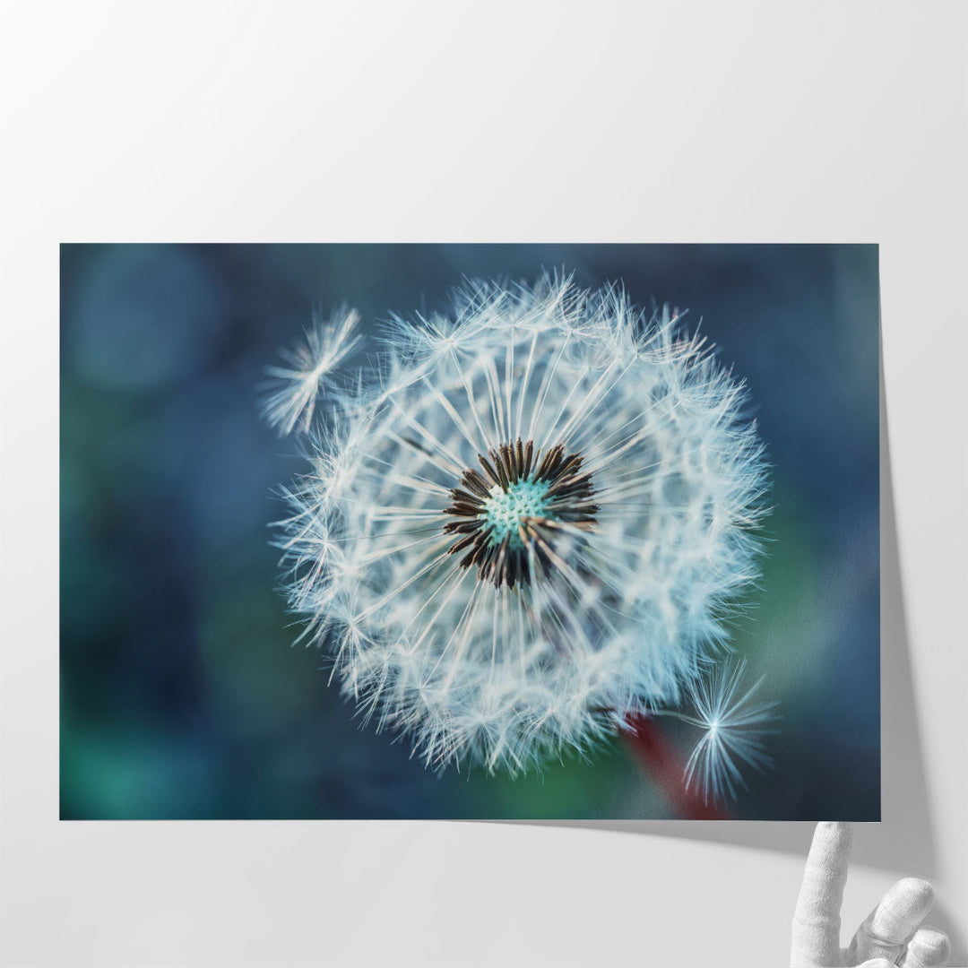 Close-Up Dandelion Tranquil - Canvas Print Wall Art