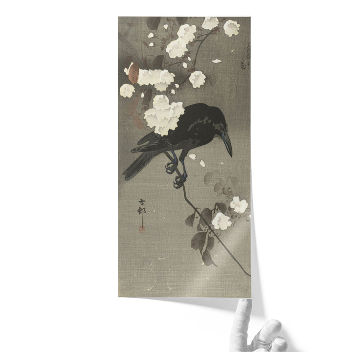 Crow with Cherry Blossom, 1900 - 1930 - Canvas Print Wall Art