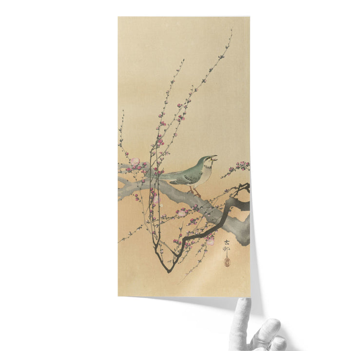 Songbird and Plum Blossom, 1900-1936 - Canvas Print Wall Art