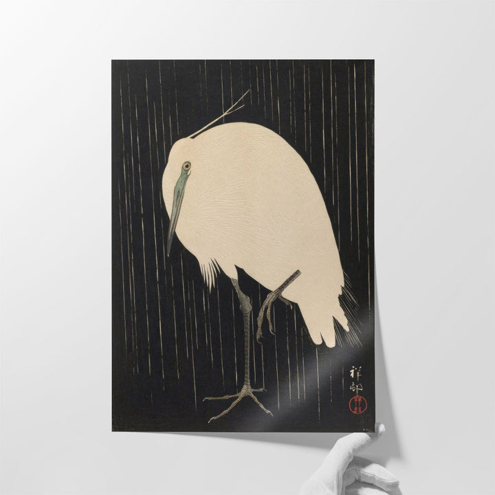 White Heron Standing in the Rain - Canvas Print Wall Art