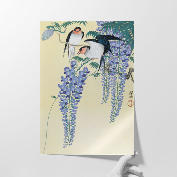 Swallows and Wisteria, 1930 - Canvas Print Wall Art