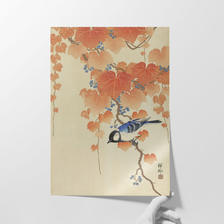 Great Tit on Paulownia Branch, 1925-1936 - Canvas Print Wall Art