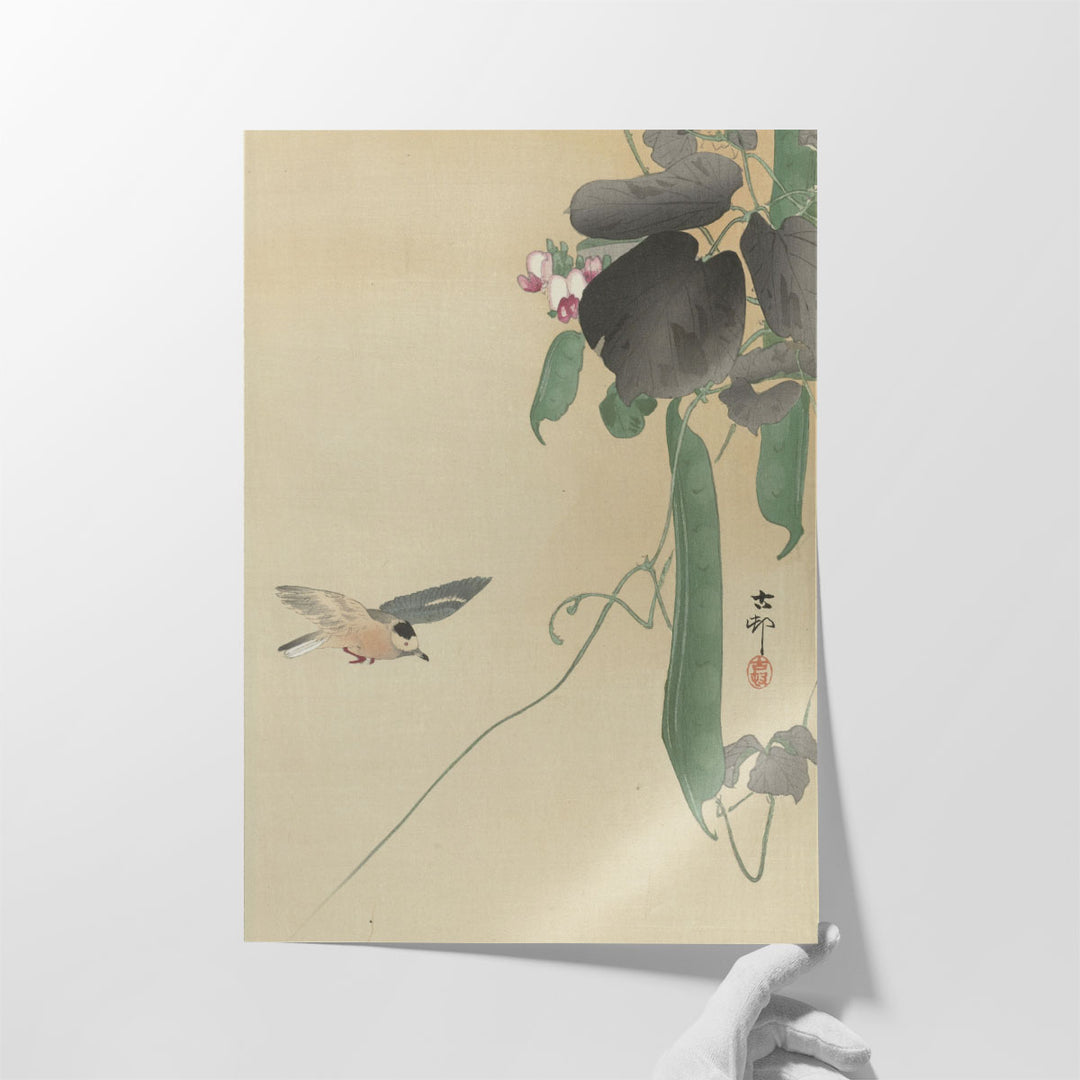 Bird at Flowering Bean Plant, 1900 -1930 - Canvas Print Wall Art
