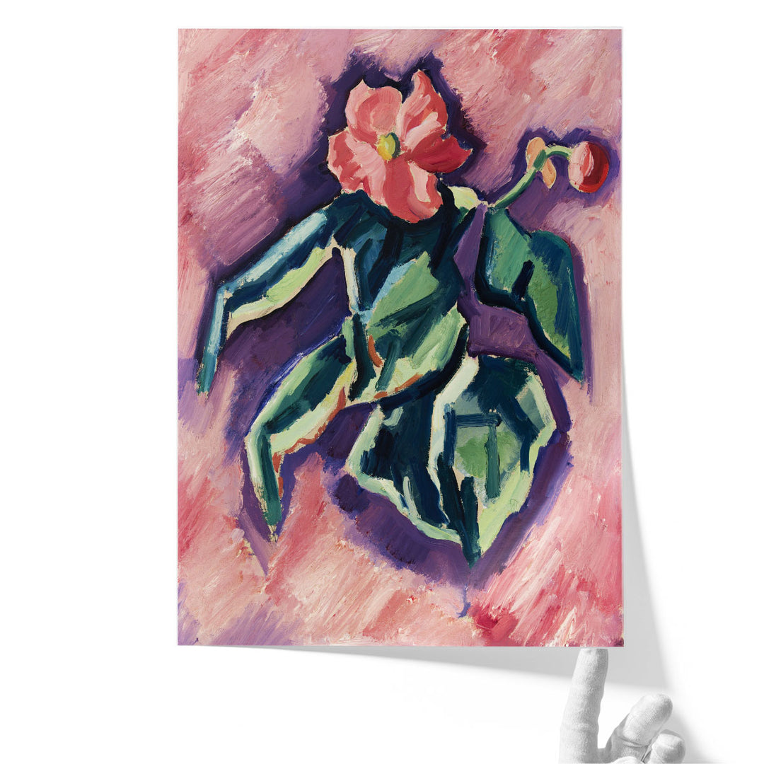 Pink Begonias, 1928-1929 - Canvas Print Wall Art