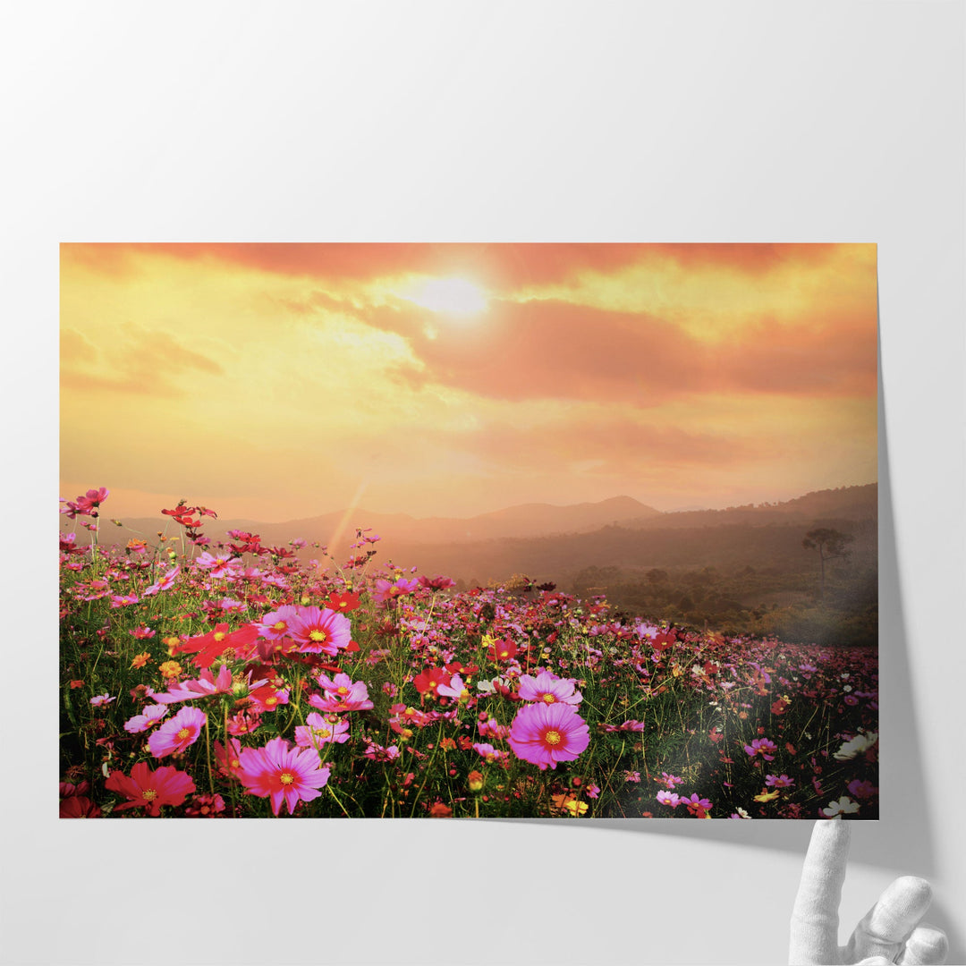 Mountain Landscape with Pink Cosmos Flowers at Sunset - Canvas Print Wall Art