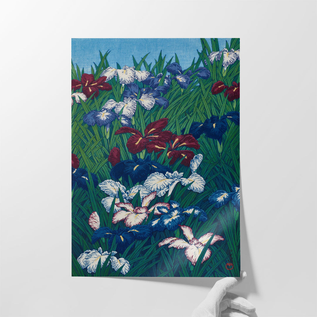 Iris, 1929 - Canvas Print Wall Art