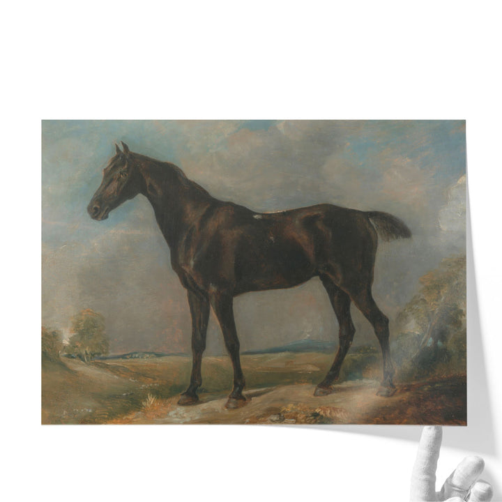 Golding Constable’s Black Riding Horse - Canvas Print Wall Art