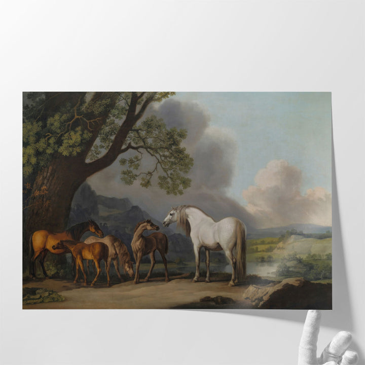 Mares and Foals in an Extensive Landscape - Canvas Print Wall Art