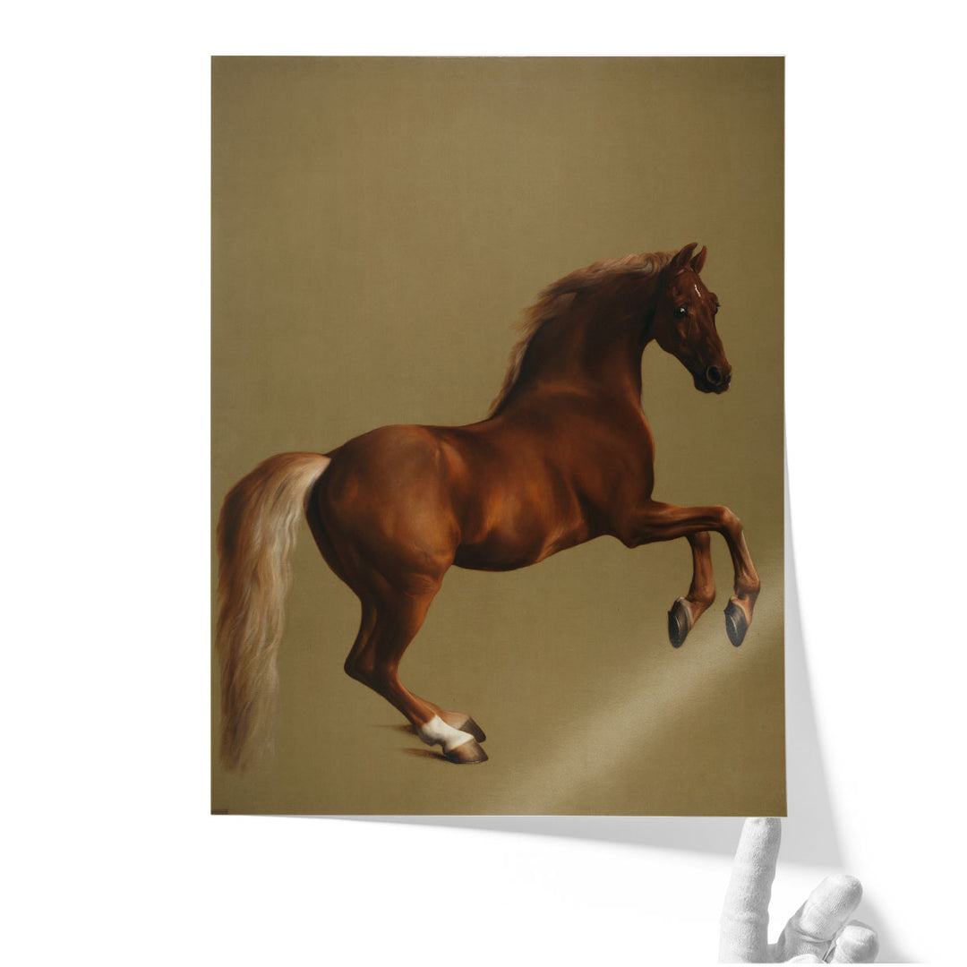 Whistlejacket - Canvas Print Wall Art
